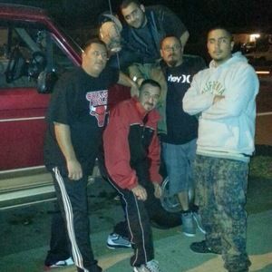 Meet your Posher, Felix